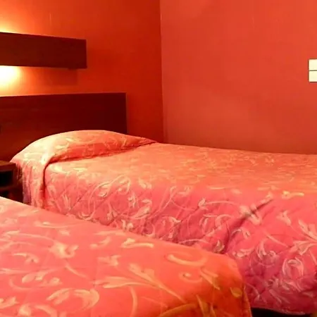 Camelia International